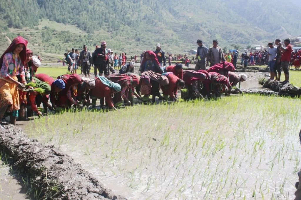 हालसम्म कुन प्रदेशमा कति भयो रापाइँ?
