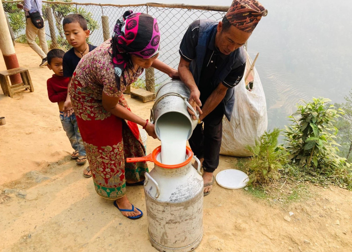 दैनिक दुई सय लिटर दूध बेचेर किसान पुरस्कृत