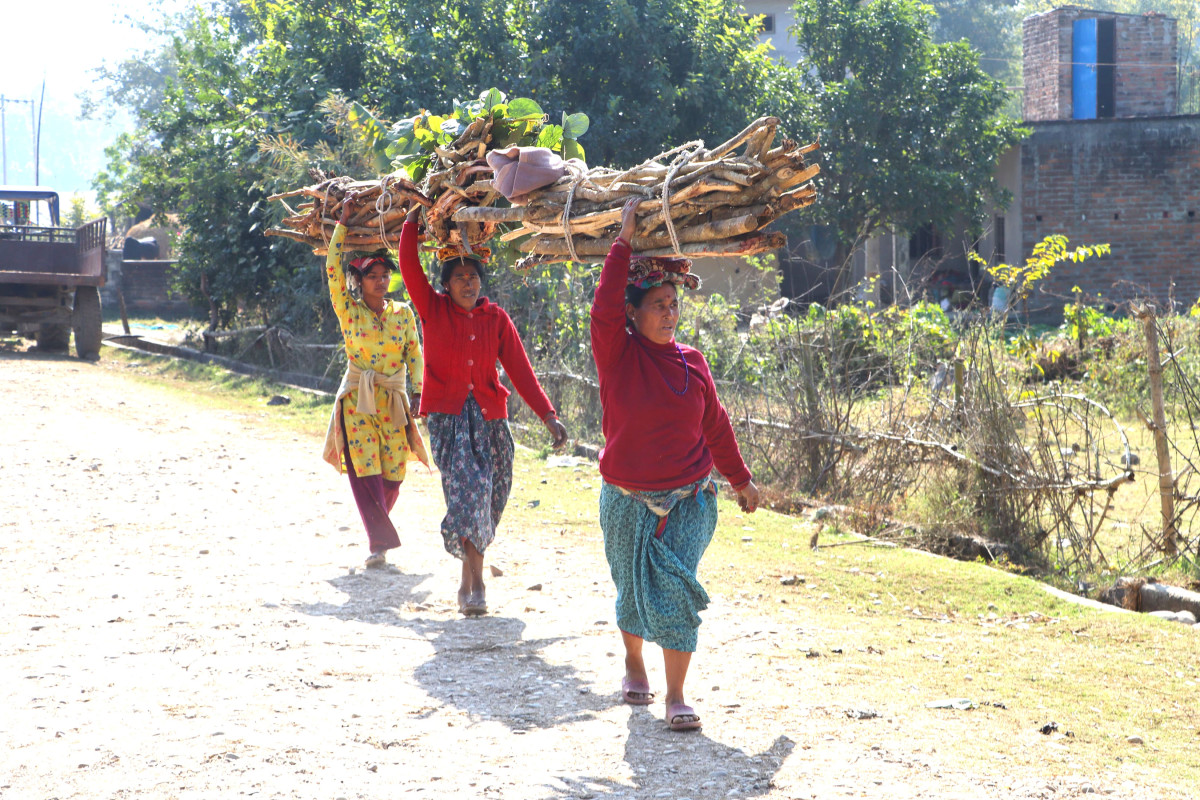 वनबाट दाउरा लिएर फर्किँदै  महिला
