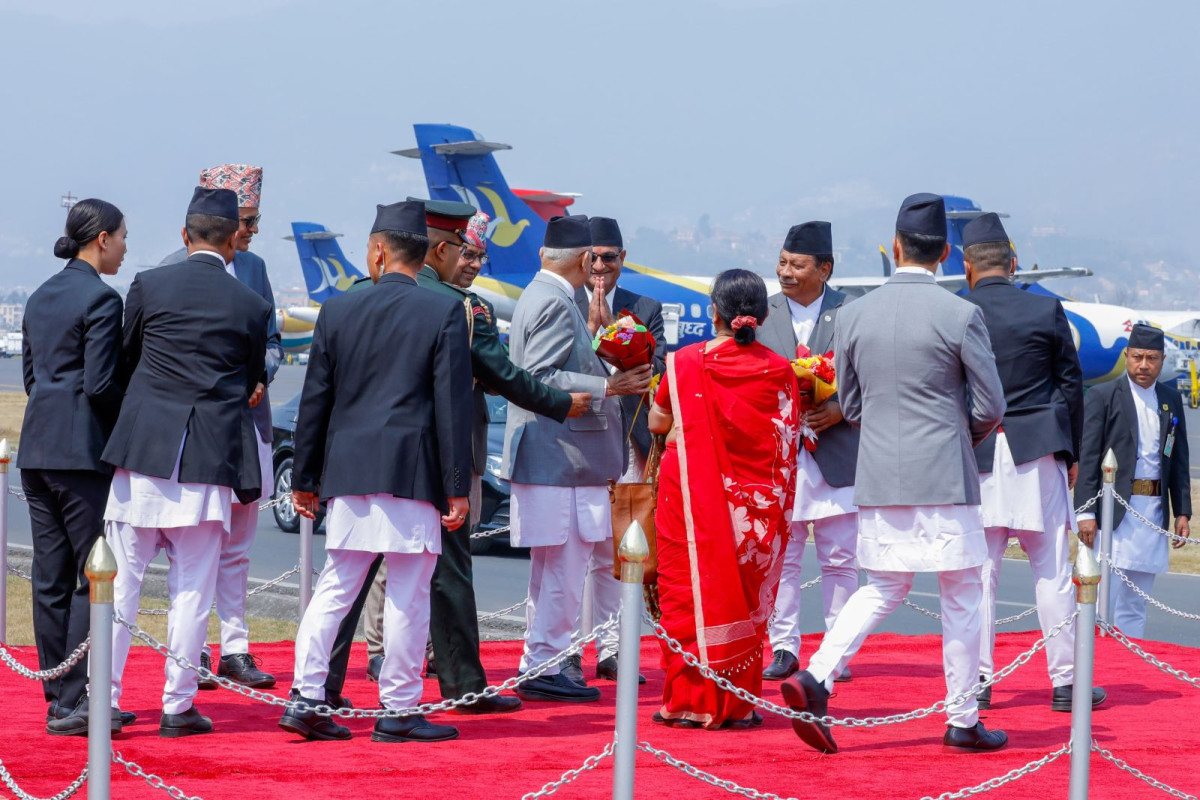 pm kp oli2(4).jpg