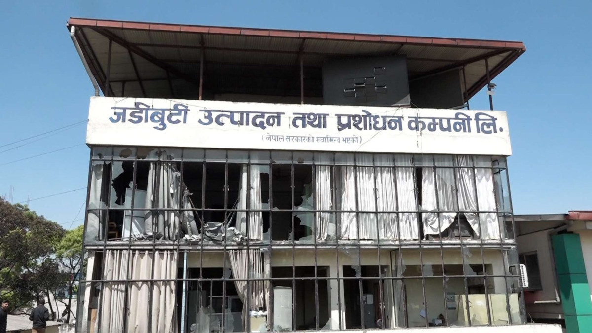 वर्ष २०८१ः स्वास्थ्य क्षेत्रमा उपलब्धि, विवाद र क्षति