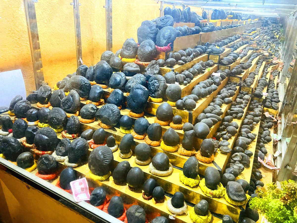 एक लाख बढी पर्यटकले दर्शन गरे शालिग्राम सङ्ग्रहालय