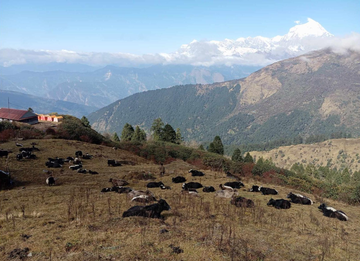 पर्यटकका पर्खाइमा बयली