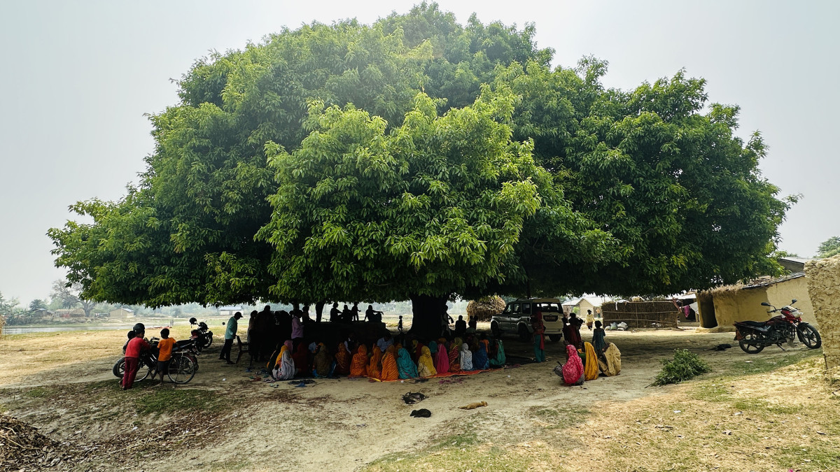 गर्मी छल्न रुखको छहारीमा बसिरहेका स्थानीय