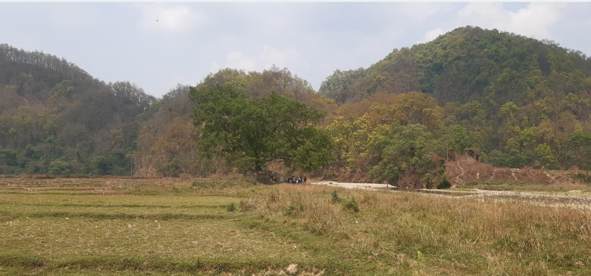 सुरौदी जलाधारः पुल नहुँदा जोखिम, कटान नियन्त्रण नहुँदा बगर