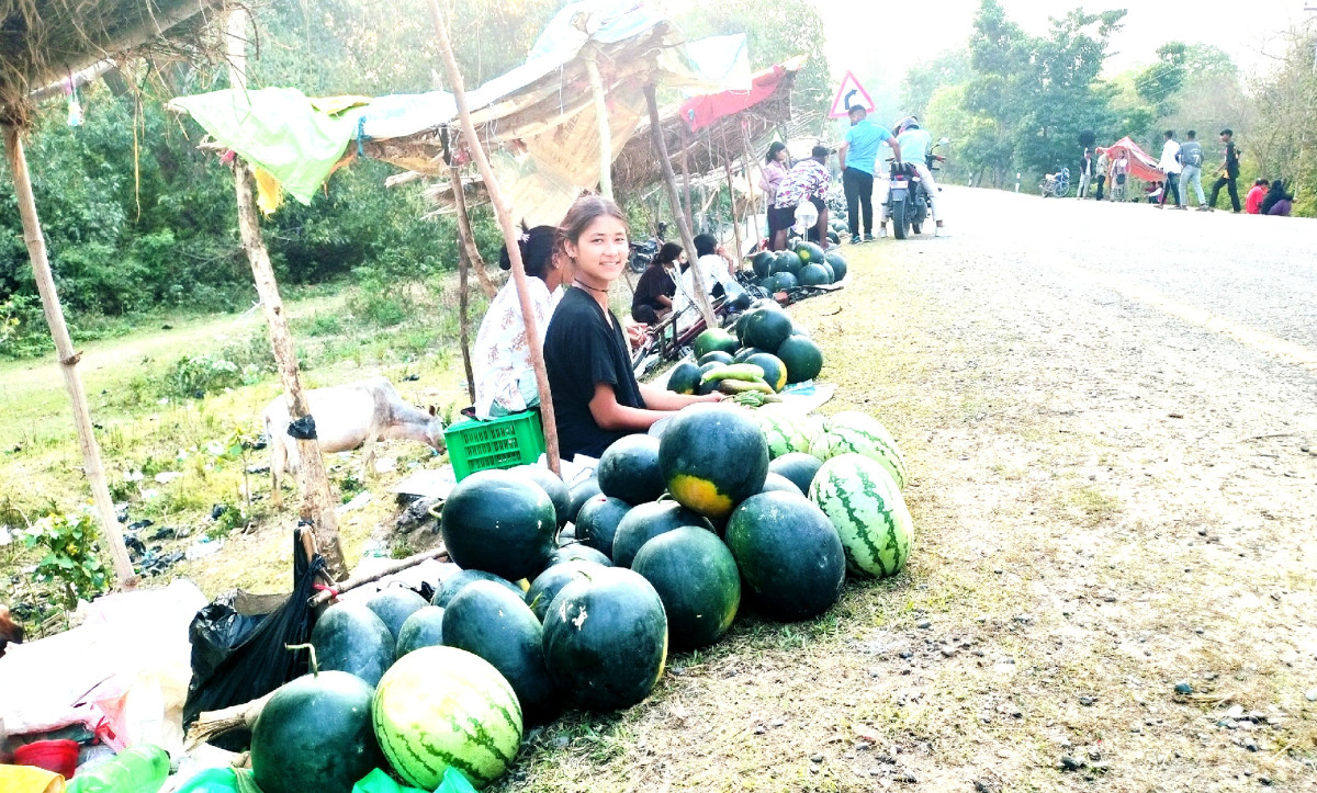 बगरमा तरबुजा खेती वनहराका मुक्तकमैयाको आयआर्जनको प्रमुख आधार