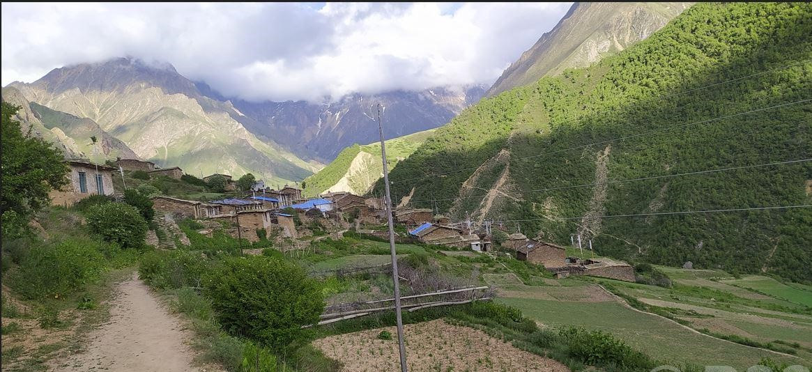 टिंकरवासी ६ महिनापछि फर्किए घर