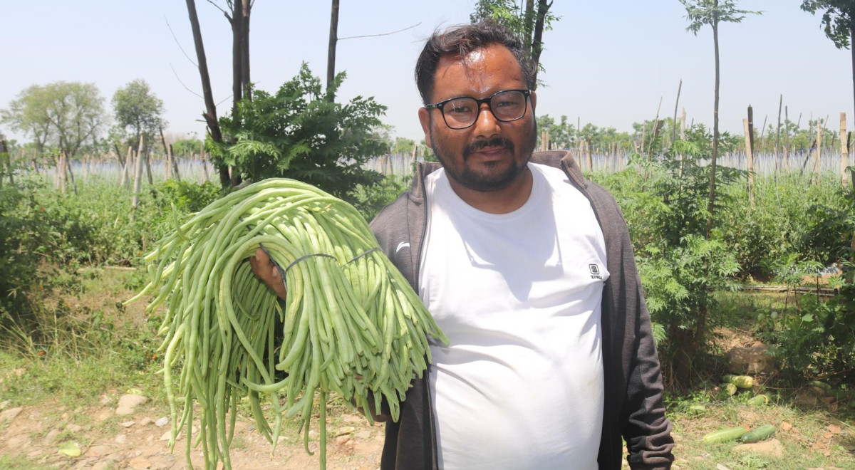 भाडाको जग्गामा वर्षको दुई करोडको तरकारी, ३८ जनालाई रोजगारी