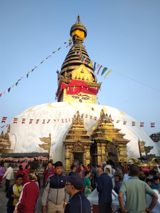 HRB_KTM_1000176592.jpg