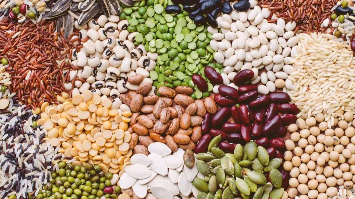 Seed Bank Established in Tulsipur to Preserve Indigenous Crops