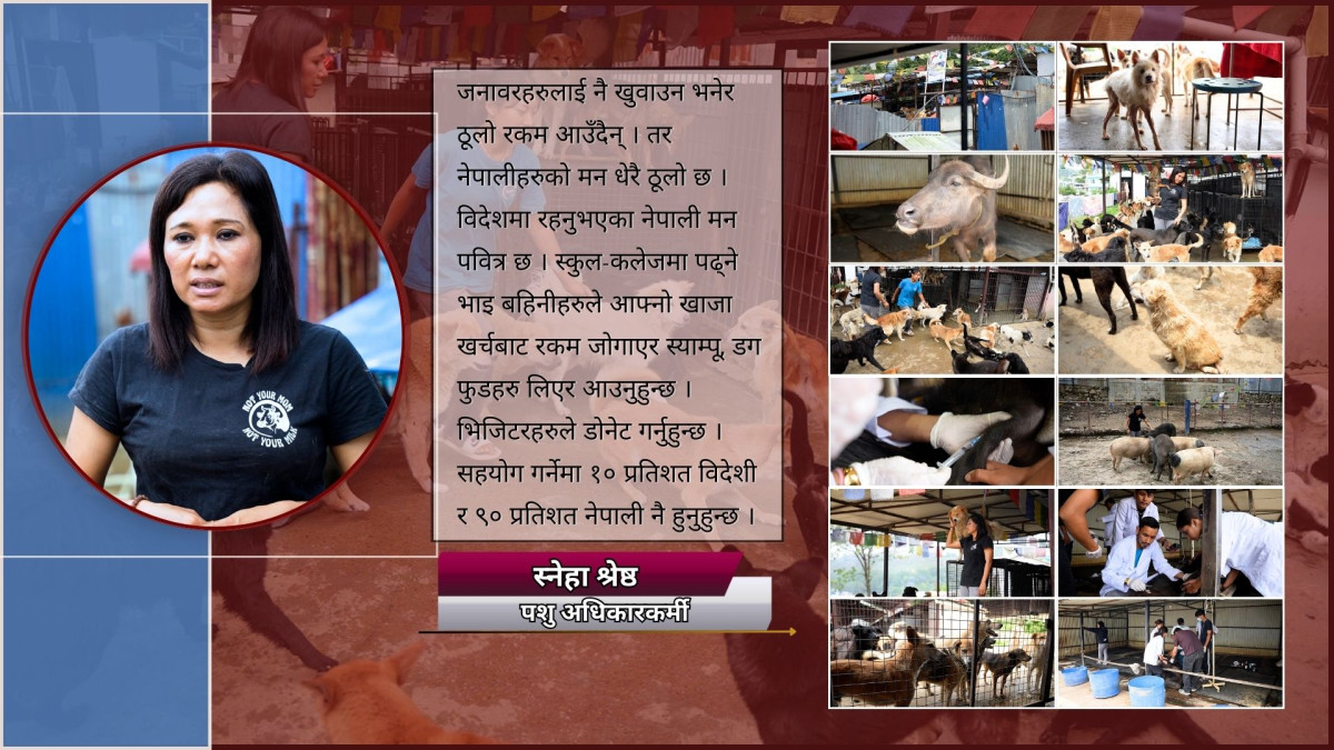 नेपालमा जनावरका लागि कानुन छैन्, भएको मापदण्ड कागजमै सिमित छः स्नेहा श्रेष्ठ