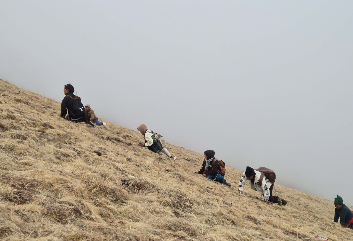 डोल्पाको कागमारा पाटनमा यार्सागुम्बा सङ्कलन गरिँदै