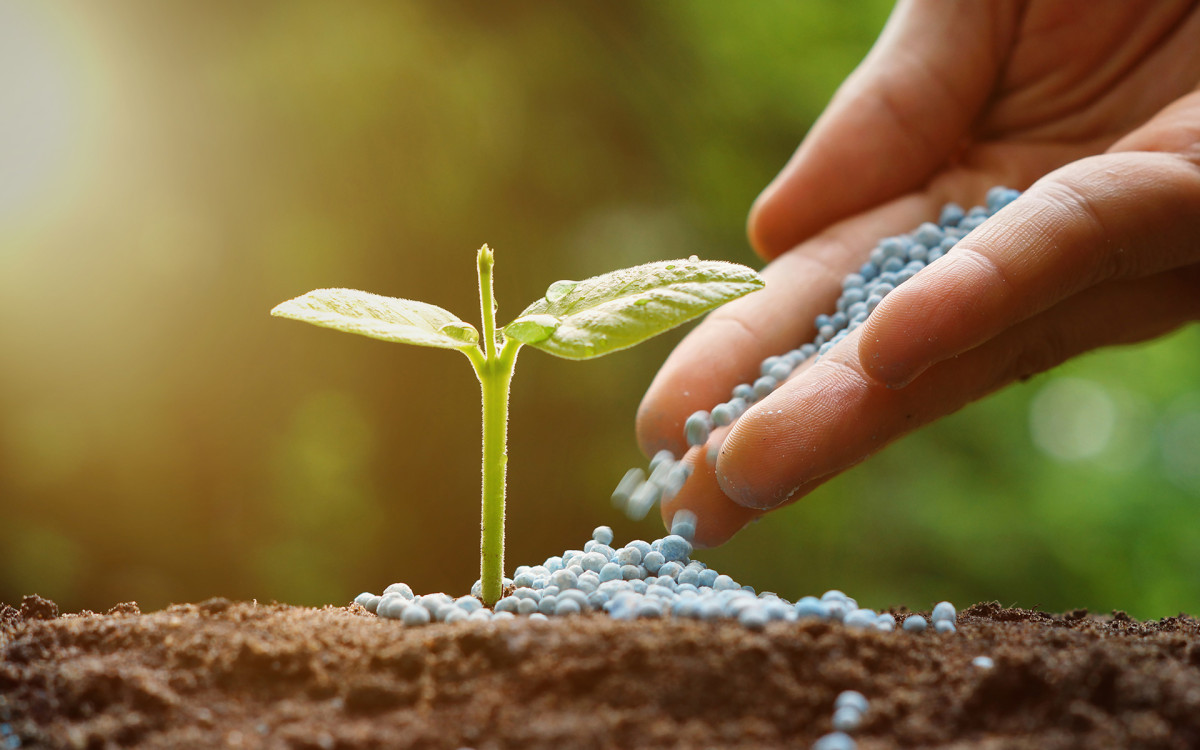 Government to Import 600,000 Metric Tons of Chemical Fertilizer in Upcoming Fiscal Year
