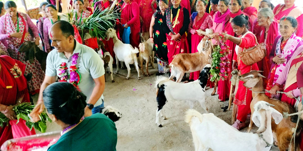 महिलालाई आत्मनिर्भर बनाउन बाख्रा उपहार