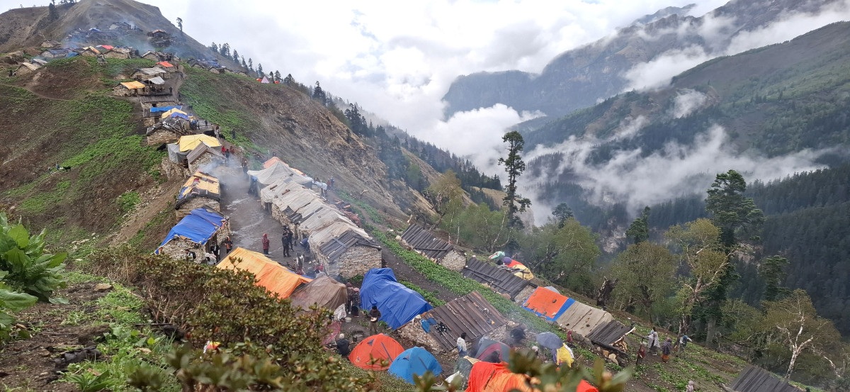 यार्सागुम्बा सङ्कलनको क्रममा बस्न निर्माण गरिएको अस्थायी आवास
