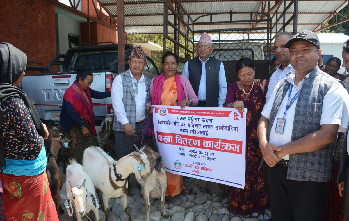 एकल महिलालाई अनुदानमा बाख्रा
