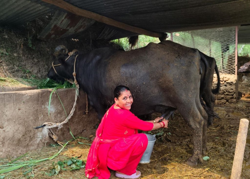 किसानलाई दूधमा ९७ लाख अनुदान वितरण
