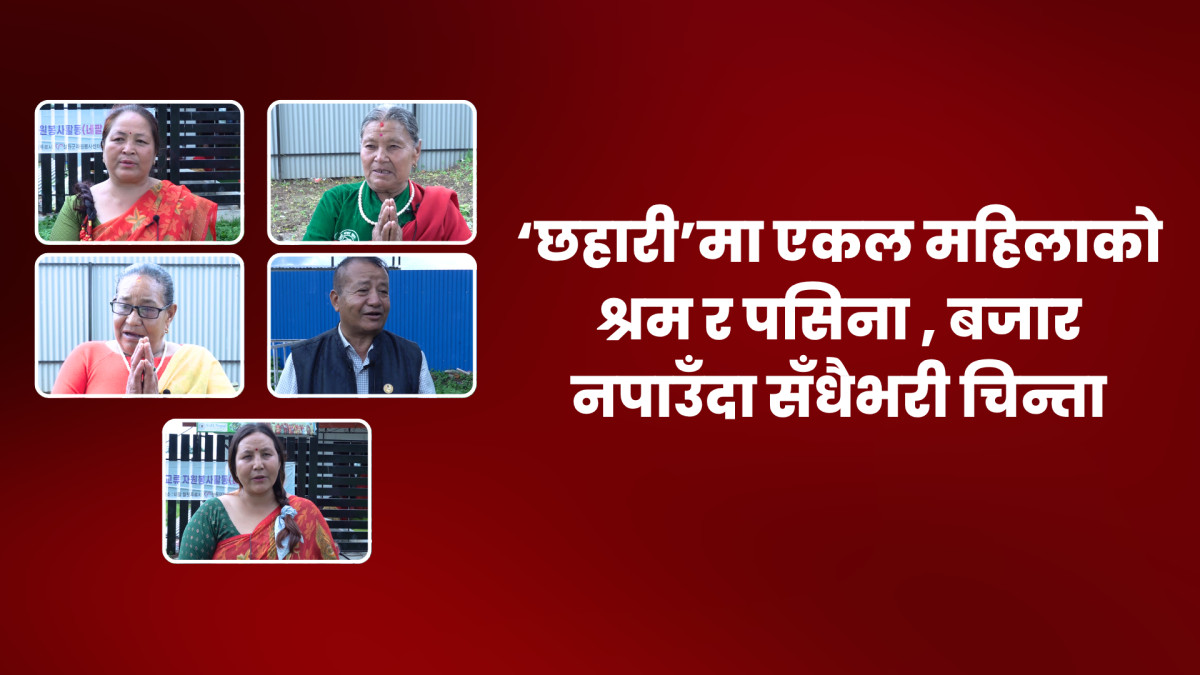 ‘छहारी’मा एकल महिलाको श्रम र पसिनाः बजार नपाउँदा सँधैभरी चिन्ता