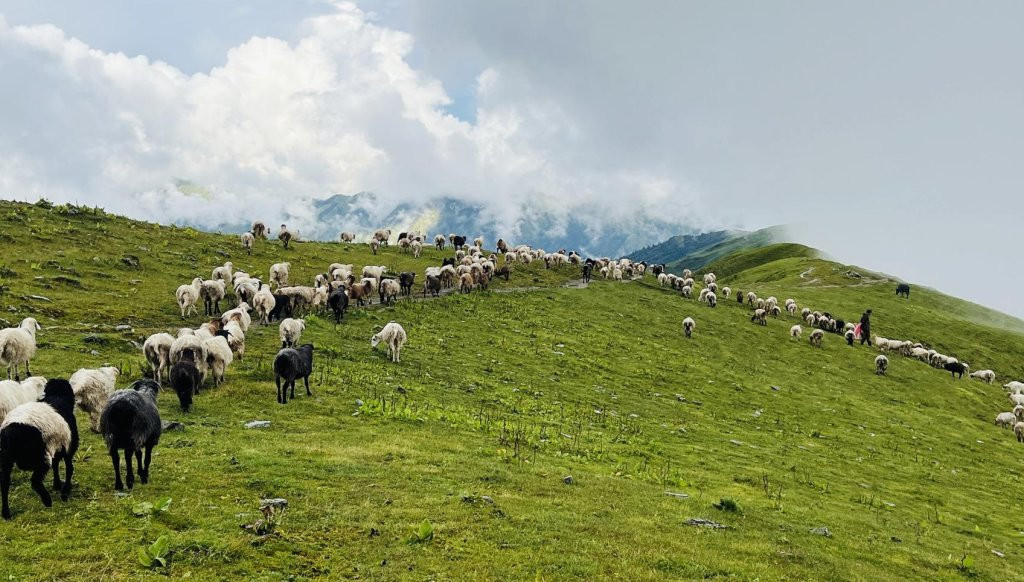 लेक उक्लिए गोठाला