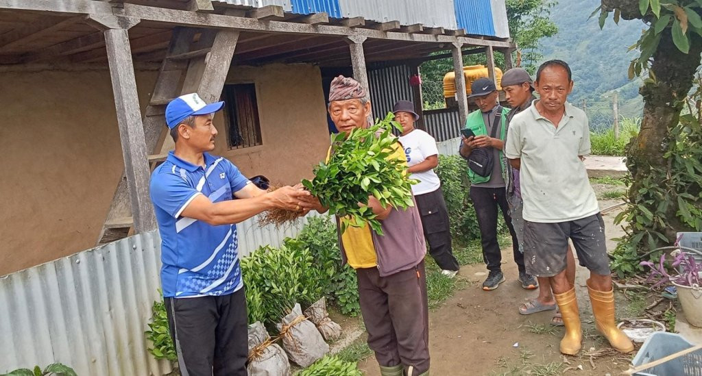 खावाको कृषि पकेट क्षेत्रमा सुन्तलाको विरुवा वितरण