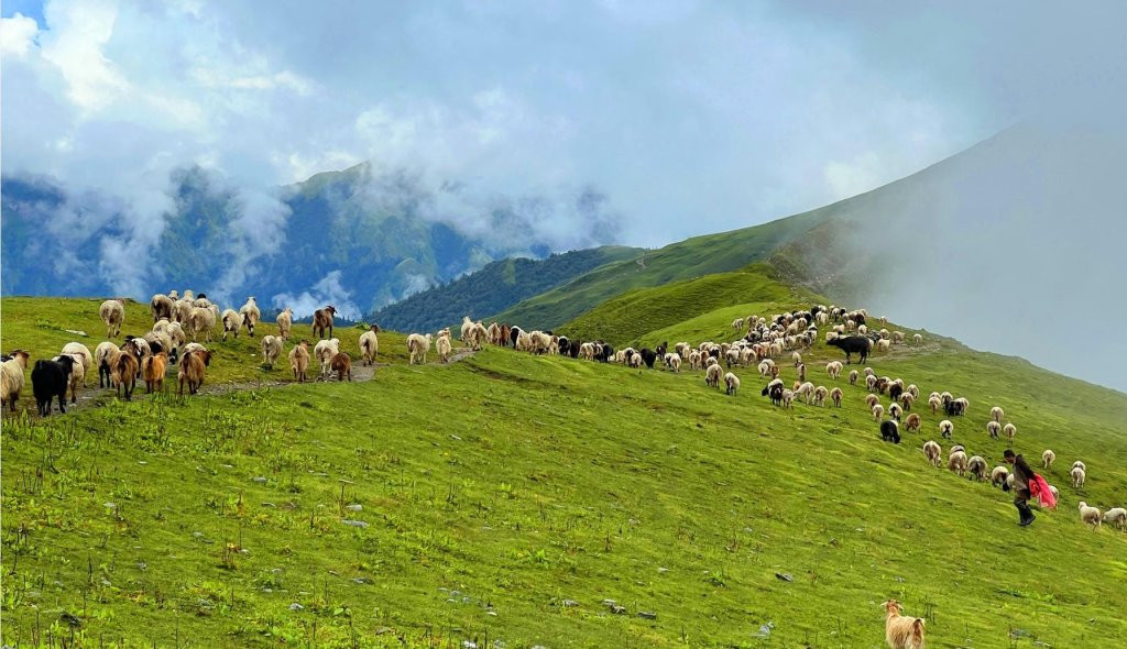 पदयात्रका लागि उत्कृष्ट गन्तव्य बन्दै ‘बुकीपाटन’