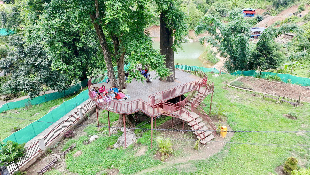 KN_Damauli-TreehousePhoto2.jpg