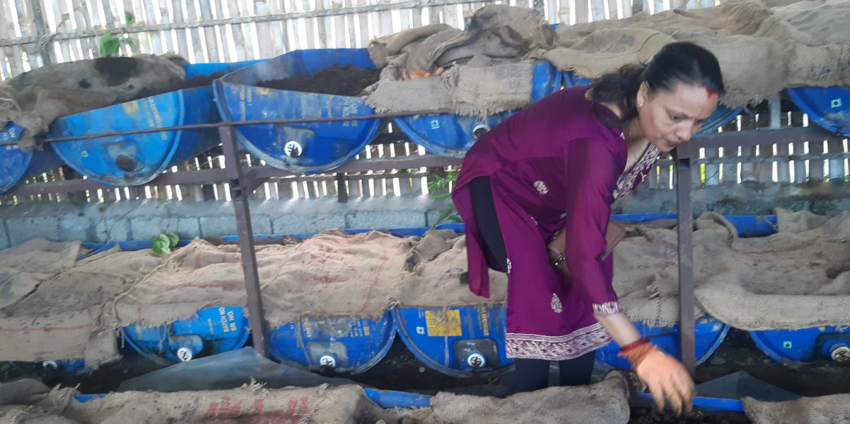 गड्यौला मल खेतीबालीका लागि बहुउपयोगी,  प्रति किलो  ५० का दरले गड्यौला मल बिक्री