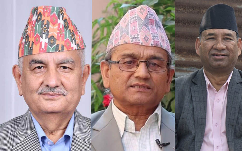 विद्यादेवी भण्डारी बारेको निर्णयमा एमालेका तीन नेताको असहमति