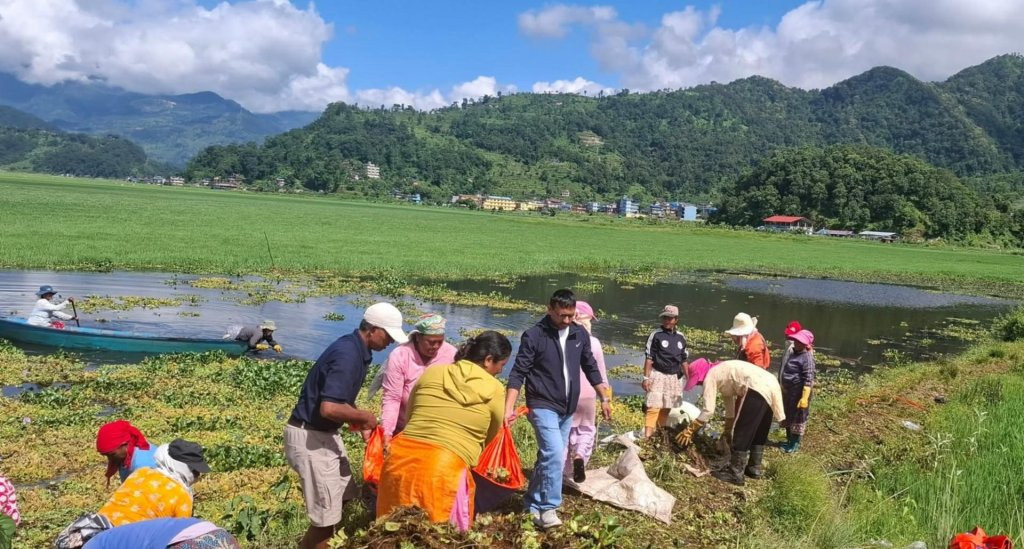 फेवातालको पहिचान र सुन्दरता जोगाउन जुटे पोखरेली