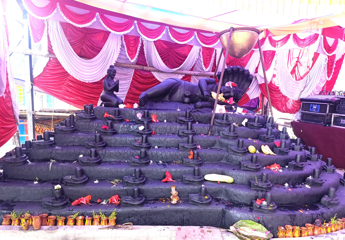 एउटै ढुङ्गामा १०८ शिवलिङ्ग र नागसहितको मूर्ति