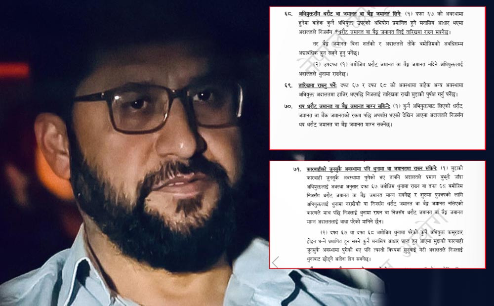 के छ रवि लामिछानेले अदालतमा दिएका निवेदनमा?